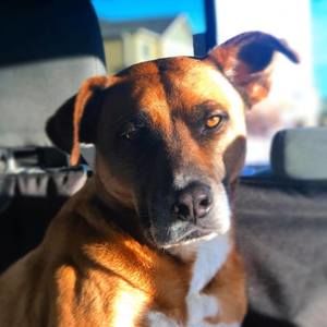 Meet your Posher, Kevin